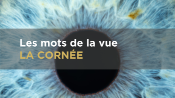Cornée Série Les mots de la vue