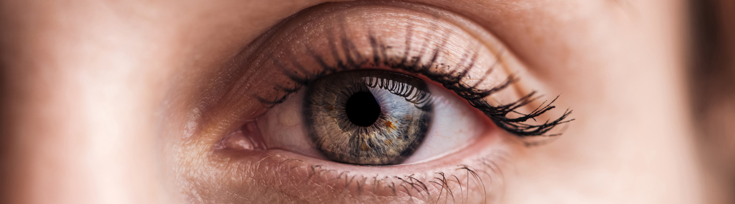 Oeil