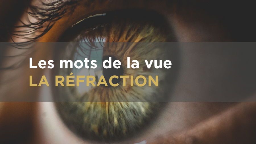 Les mots de la vue La réfraction
